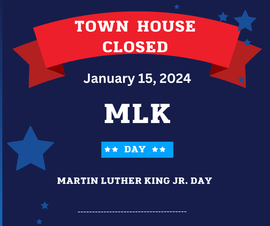 Blue Modern Happy MLK Day Event Instagram Story (Facebook Post)