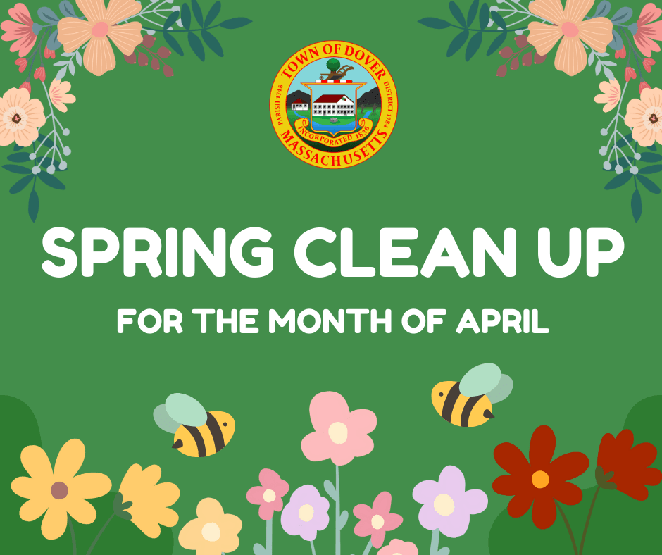 SPRINGClean up
