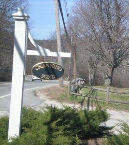 outdoor wooden sign next to road reads channing pond