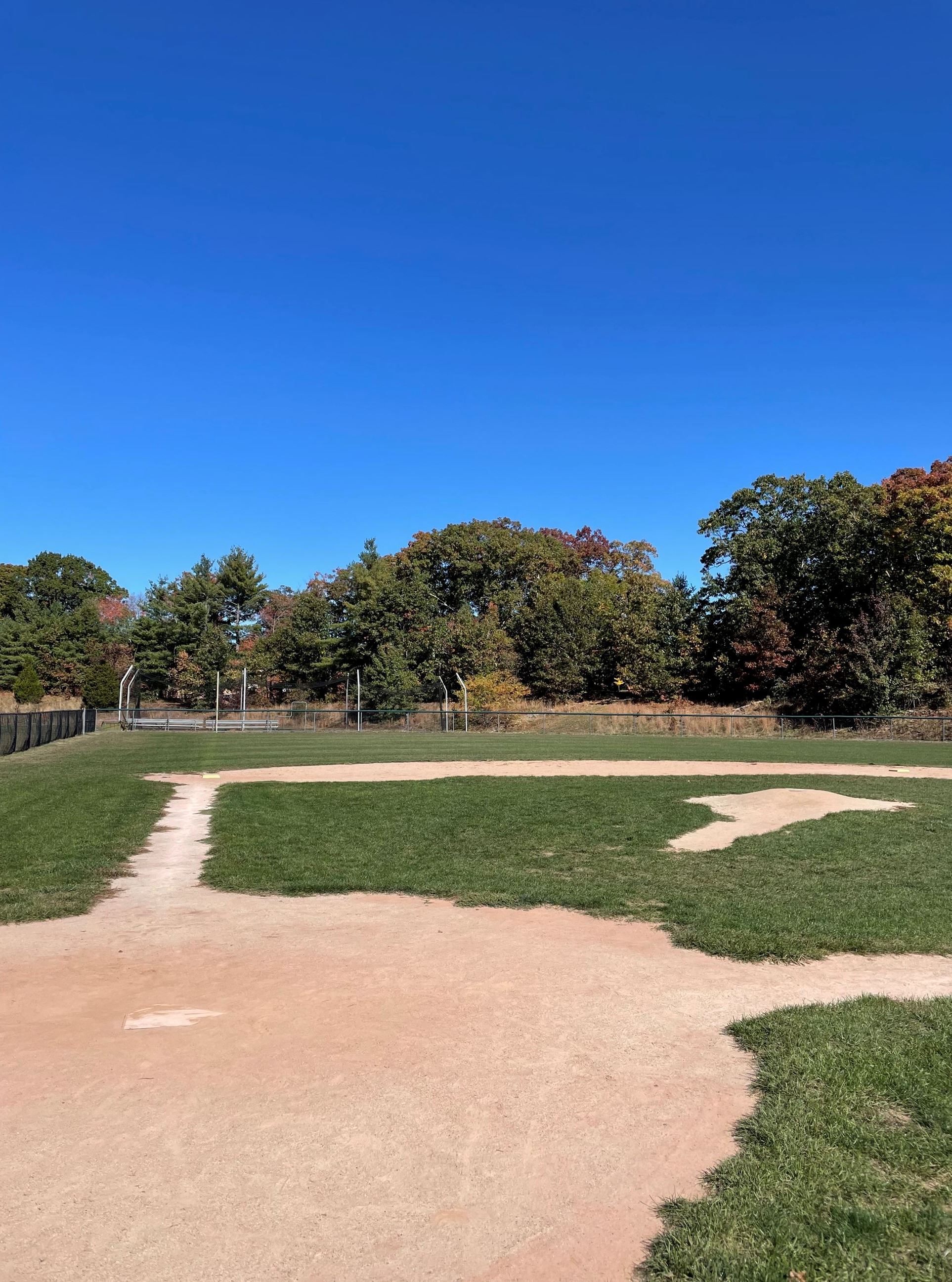 Photo of Chickering Diamond with batting cage in the background